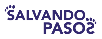 SP Logo
